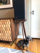 Load image into Gallery viewer, JBL-L82-classic-speaker-and-Heron-speaker-stands-by-audio-chic and a Dog standing on a rug.