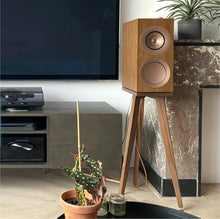 Load image into Gallery viewer, Wooden KEF R3 speaker on a walnut speaker stand by Audio Chic in a living room setting with a TV and decorative elements.