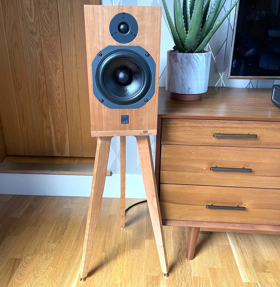 Wooden ATC SCM11 speaker on a heron speaker stand by audio chic next to a wooden dresser with a plant and TV in the background.