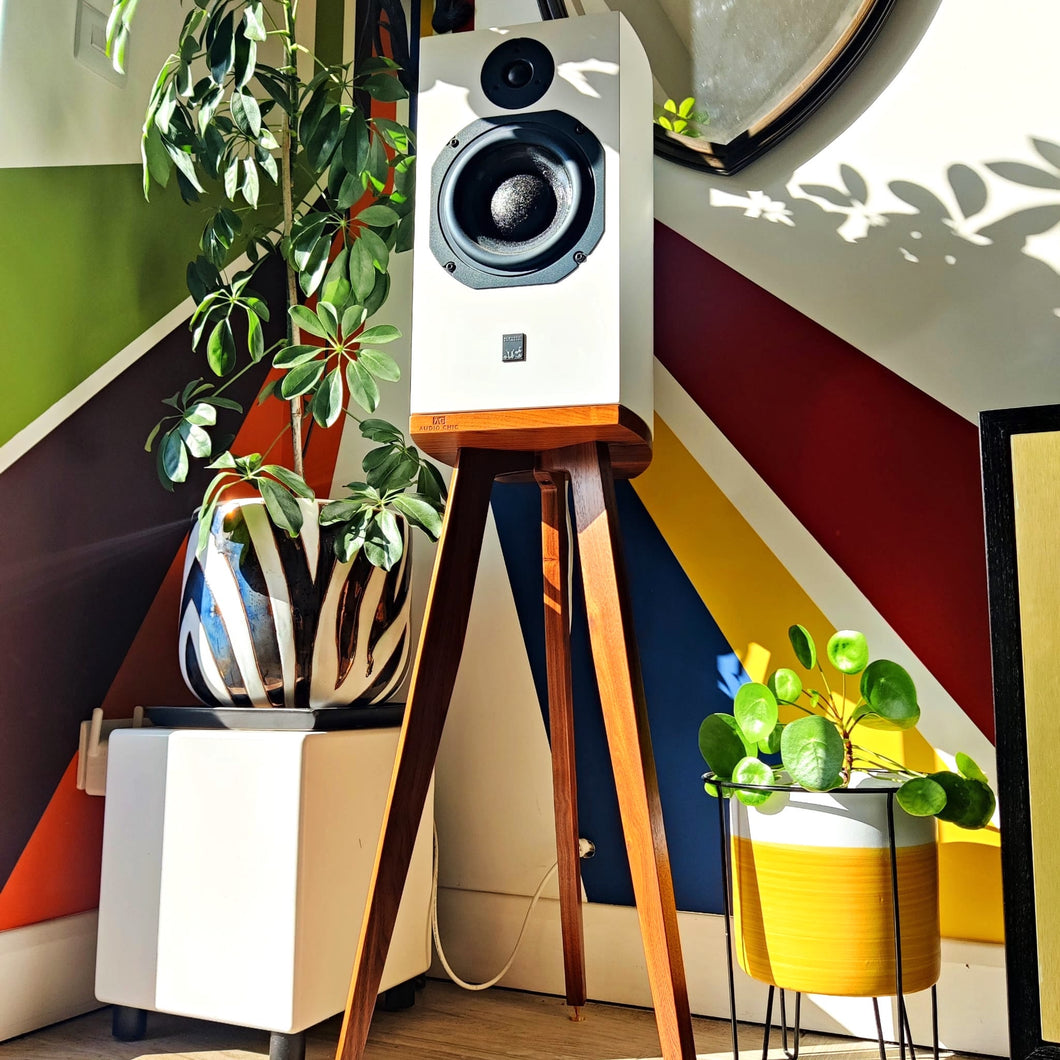 White ATC SCM19 shaped speaker on a wooden spaeker stand by audio chic with decorative plants against a colorful geometric wall.