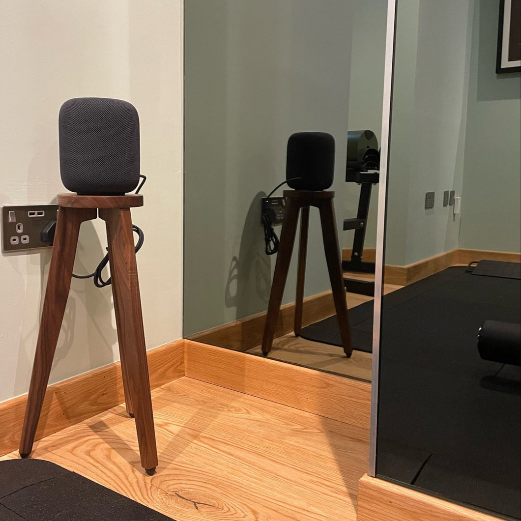 Speaker on an audio chic wooden speaker stand in front of a mirror reflecting a room with exercise equipment.