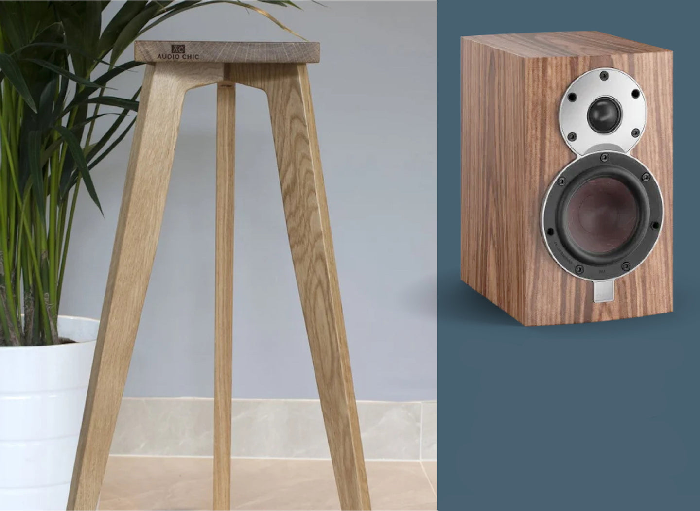 A wooden speaker stand with a shaped top plate, designed for the Dali Menuet and Menuet SE speakers, shown in an indoor setting with a plant and a range of heights available.