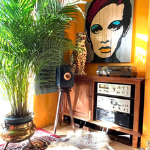 Load image into Gallery viewer, KEF-LS50-Metas-snipe-speaker-stands-in-Walnut-with-Plinths-by-audio-chic in a Room interior with a plant, speaker, and artwork on a yellow wall.