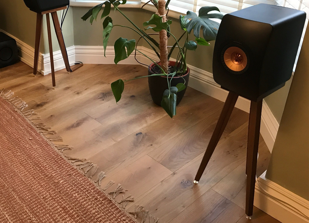 KEF LLS50 Wireless Speaker on an Audio chic wooden speaker stand in a room with a plant and rug.