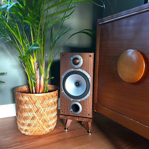 Monitor-Audio-Bronze-BR-2-Walnut-Snipe-speaker-stand next to a potted plant on a wooden floor