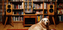 Load image into Gallery viewer, Dog sitting in front of a bookshelf with speakers and a desk. Neat-Momentum-SX3i-Egret-speaker-stand-audio-chic