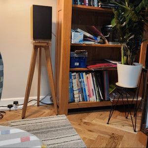 Audio Chic speaker stand in Room interior with a colorful armchair, bookshelf, and vinyl record collection.